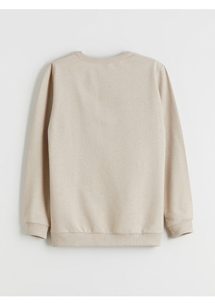 Yeni Sezon Bisiklet Yaka Erkek Çocuk Sweatshirt modelleri