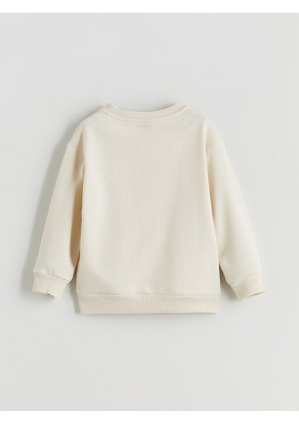 Yeni Sezon Bisiklet Yaka Erkek Çocuk Sweatshirt modelleri