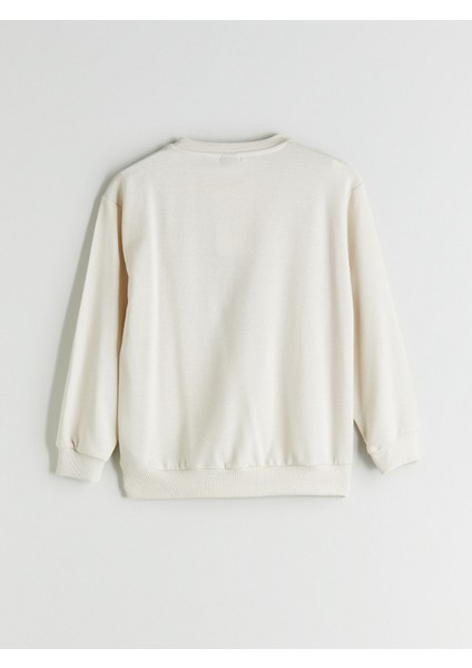 Yeni Sezon Bisiklet Yaka Erkek Çocuk Sweatshirt modelleri