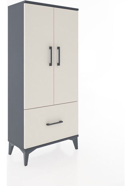 Hyperion Dolap 2 Raflı Tek Çekmeceli 2 Kapaklı 60X44X134 Antrasit-Aytaşı fiyatları