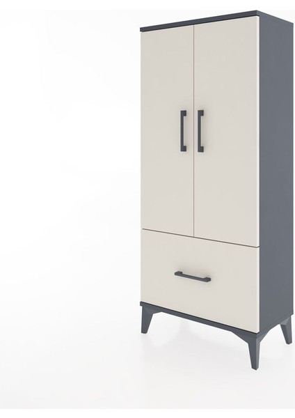 Hyperion Dolap 2 Raflı Tek Çekmeceli 2 Kapaklı 60X44X134 Antrasit-Aytaşı modelleri