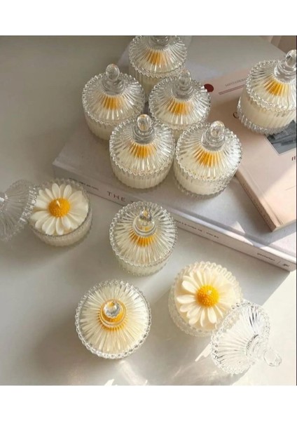 5 Adet Dekoratif Hediyelik Papatya Mum , Kapağı ile 10 Parçadır (Ürün Mikadır )