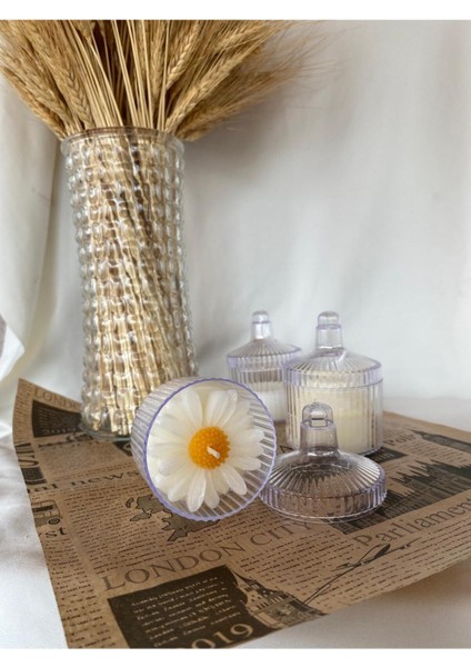 5 Adet Dekoratif Hediyelik Papatya Mum , Kapağı ile 10 Parçadır (Ürün Mikadır ) fiyatları