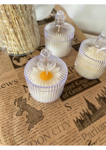 5 Adet Dekoratif Hediyelik Papatya Mum , Kapağı ile 10 Parçadır (Ürün Mikadır )