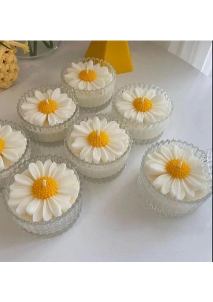 5 Adet Dekoratif Hediyelik Papatya Mum , Kapağı ile 10 Parçadır (Ürün Mikadır )