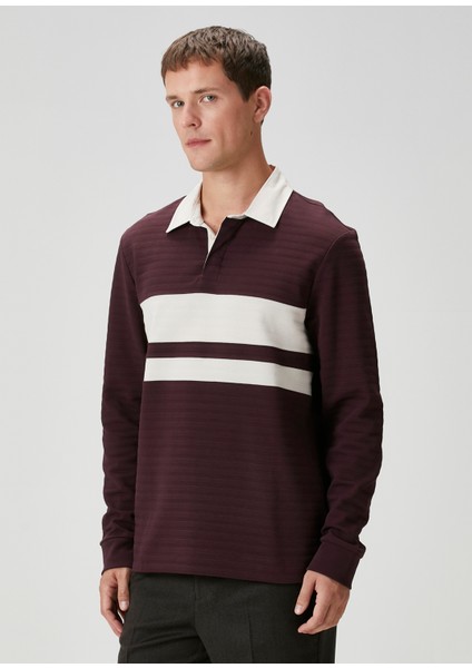 Bordo Polo Yaka Çizgi Desenli Sweatshirt indirimleri