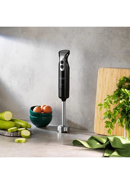 Meister Siyah 1000 W Çubuk Blender