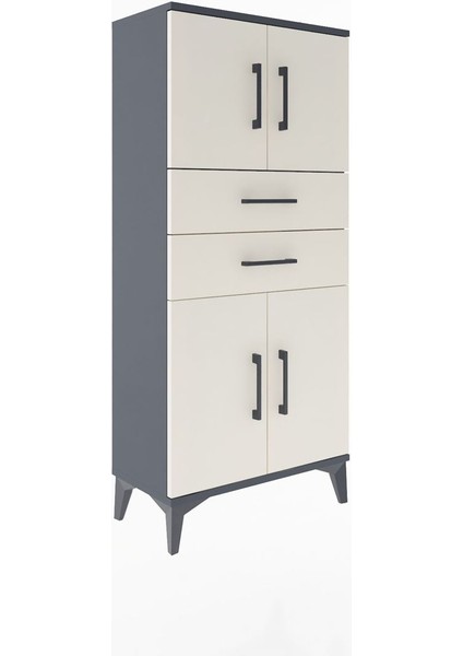 Arges Dolap Tek Raflı 2 Çekmeceli 4 Kapaklı 60X30X134 Antrasit-Aytaşı fiyatları