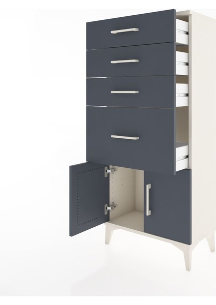 Hyperion Dolap 4 Çekmeceli 2 Kapaklı 60X44X134 Aytaşı-Antrasit fırsatları