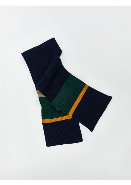 Yeni Sezon Çizgi Nakışlı Erkek Atkı fiyatları