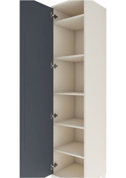 Hyperion Dolap 5 Raflı Tek Kapaklı 44X44X195 Aytaşı-Antrasit indirimleri