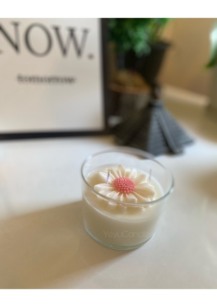 Papatyamum fiyatları