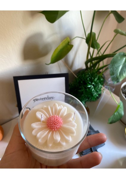 Papatyamum fırsatları