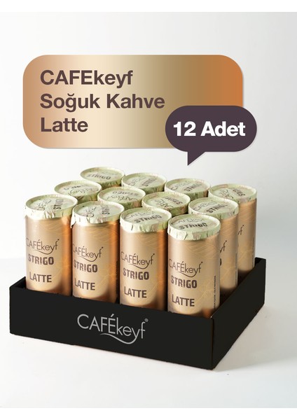 Soğuk Kahve Latte (Şeker Ilavesiz)