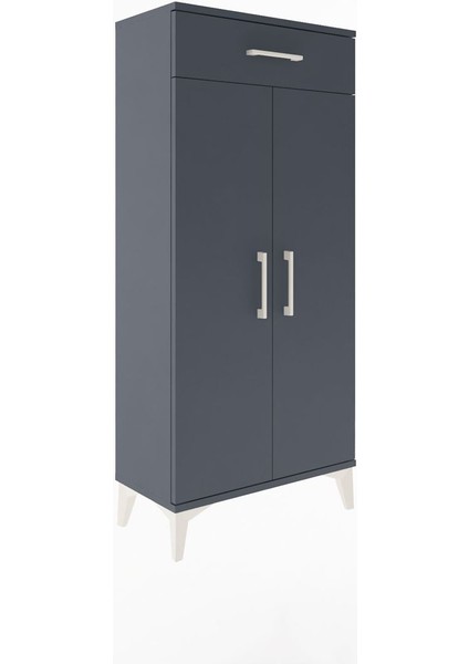 Arges Dolap 2 Raflı Tek Çekmeceli 2 Kapaklı 60X30X134 Antrasit-Antrasit fiyatları