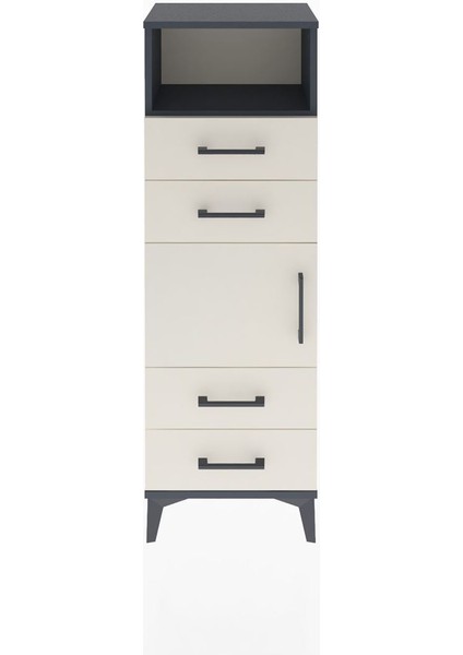 Arges Dolap 2 Raflı 4 Çekmeceli Tek Kapaklı 44X30X134 Antrasit-Aytaşı