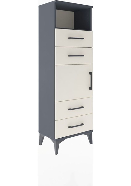 Arges Dolap 2 Raflı 4 Çekmeceli Tek Kapaklı 44X30X134 Antrasit-Aytaşı fiyatları