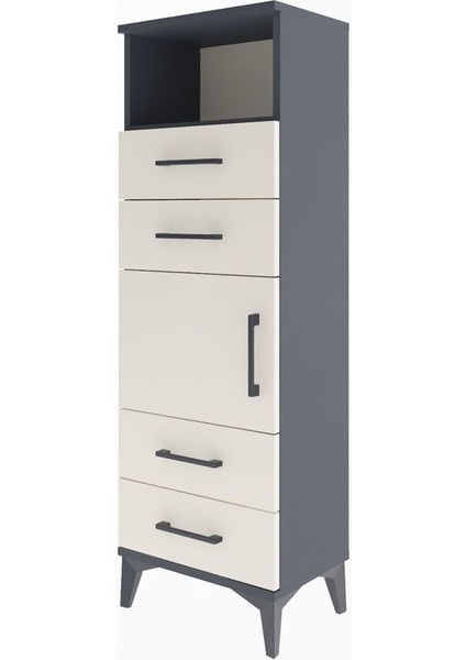 Arges Dolap 2 Raflı 4 Çekmeceli Tek Kapaklı 44X30X134 Antrasit-Aytaşı modelleri
