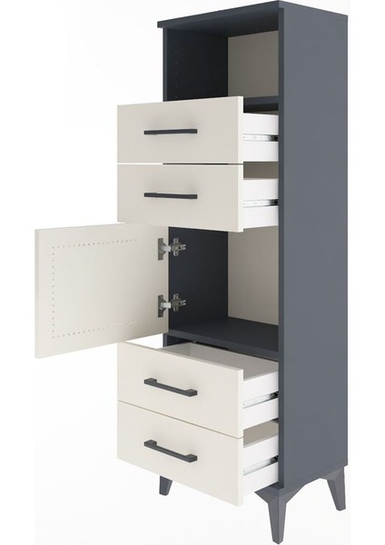 Arges Dolap 2 Raflı 4 Çekmeceli Tek Kapaklı 44X30X134 Antrasit-Aytaşı fırsatları