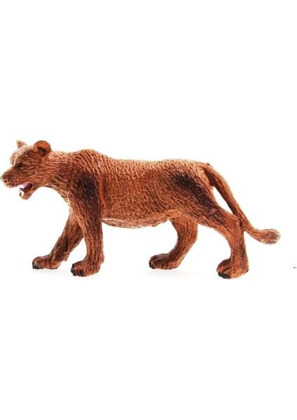 Dişi Aslan Model Figür Hayvan modelleri