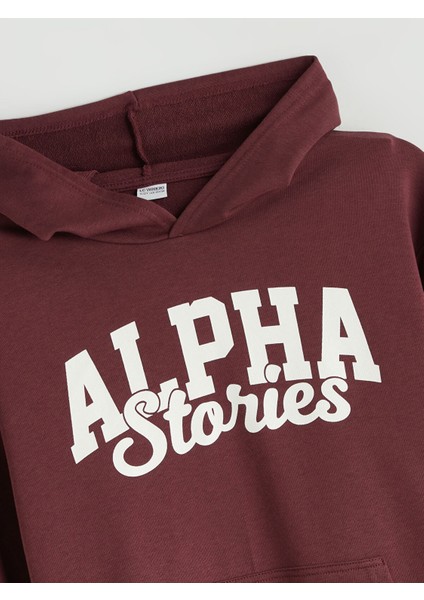 Yeni Sezon Kapüşonlu Erkek Çocuk Sweatshirt fiyatları