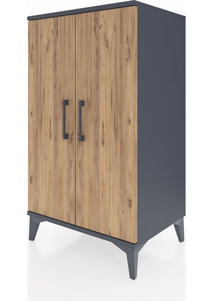 Hyperion Komodin 2 Kapaklı 60X44X106 Antrasit-Çam modelleri