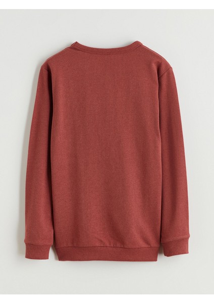 Yeni Sezon Bisiklet Yaka Erkek Çocuk Sweatshirt modelleri