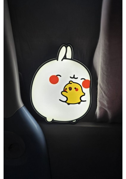 Molang Tasarımlı Dekoratif Aydınlatma