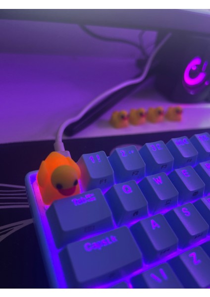 Ducky Ördek Keycap Mekanik Klavye Tuşu Gamer Aksesuar