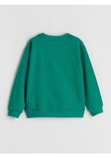 Yeni Sezon Bisiklet Yaka Erkek Çocuk Sweatshirt fiyatları