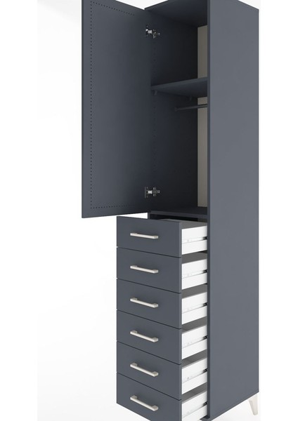 Hyperion Dolap 2 Raflı 6 Çekmeceli Tek Askılı 44X44X221 Antrasit-Antrasit indirimleri