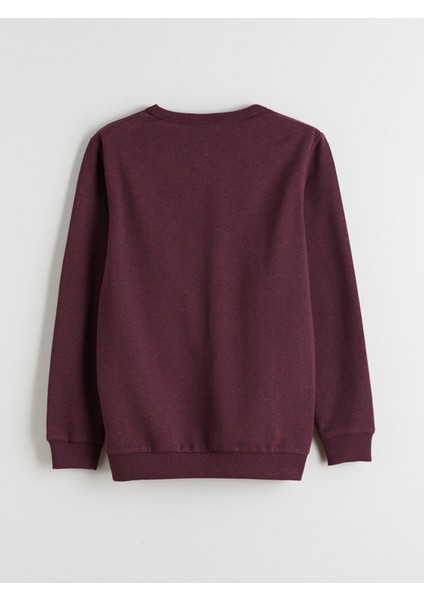 Yeni Sezon Bisiklet Yaka Erkek Çocuk Sweatshirt modelleri