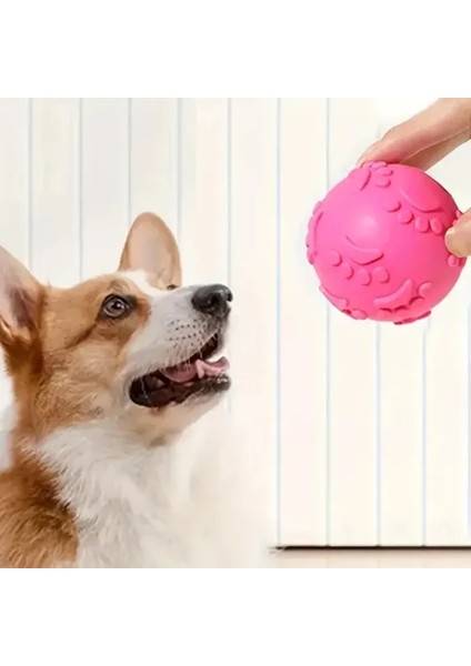Pati Desenli Dayanıklı Köpek Isırma Topu fırsatları