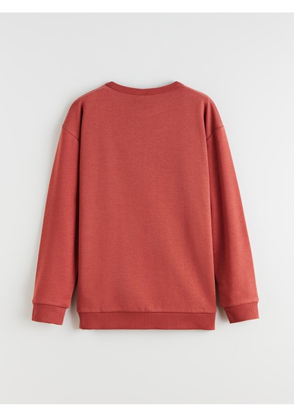 Yeni Sezon Bisiklet Yaka Erkek Çocuk Sweatshirt fiyatları