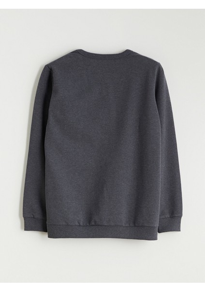 Yeni Sezon Bisiklet Yaka Erkek Çocuk Sweatshirt modelleri