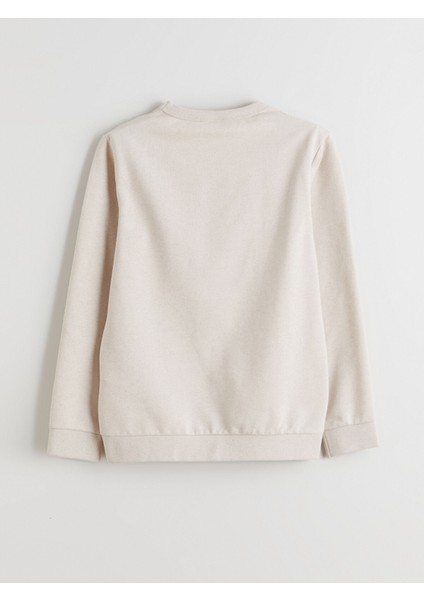 Yeni Sezon Bisiklet Yaka Erkek Çocuk Sweatshirt modelleri