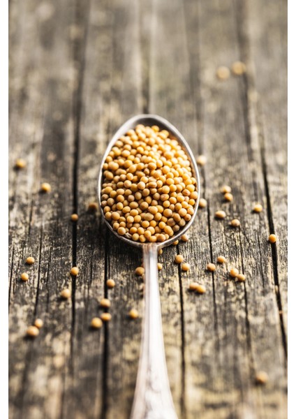 Sarı Hardal Tohumu Deluxe Seri Organik Lezzetli 300 gr indirimleri