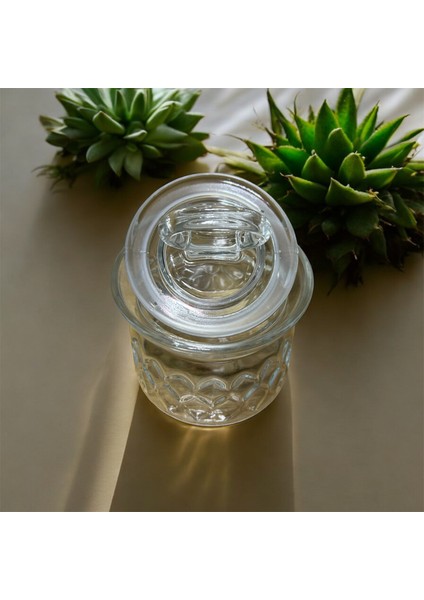 Leafy Kavanoz 400 cc modelleri