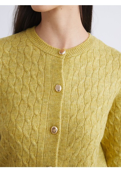 Yeni Sezon Bisiklet Yaka Kendinden Desenli Kadın Triko Hırka modelleri