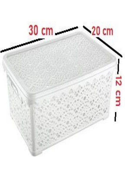 Büyük Motifli Kapaklı Kutu ROYALEKS-TİM136