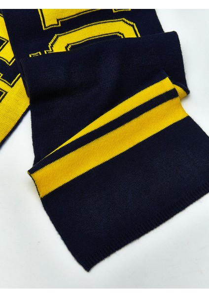 Yeni Sezon Fenerbahçe Baskılı Erkek Çocuk Atkı modelleri