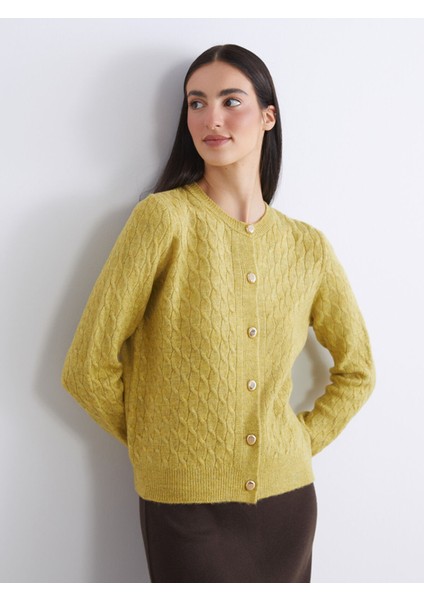 Yeni Sezon Bisiklet Yaka Kendinden Desenli Kadın Triko Hırka