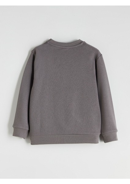 Yeni Sezon Bisiklet Yaka Erkek Çocuk Sweatshirt modelleri