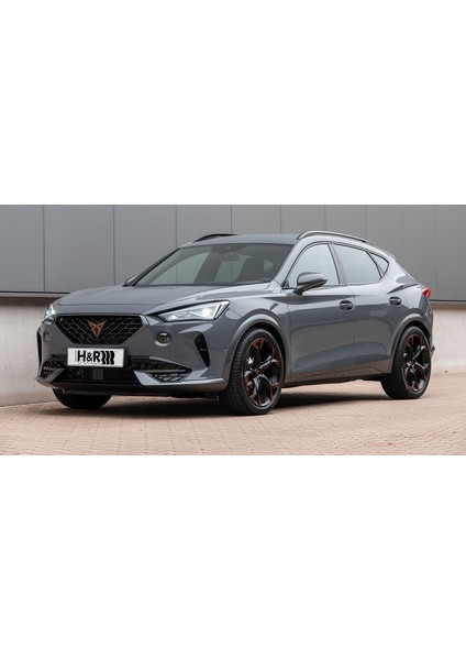 Cupra Formentor 2.0 Tsi 4drive Vz H&r Spor Yay -35MM modelleri
