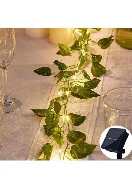 Renkli Güneş Enerjili Sarmaşık LED Dekor 5 Metre, Bahçe ve Iç Mekan Aydınlatması modelleri