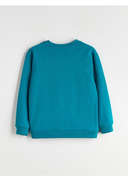 Yeni Sezon Bisiklet Yaka Erkek Çocuk Sweatshirt fiyatları