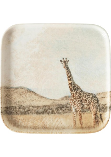 Concept Kare Tabak 22CM-