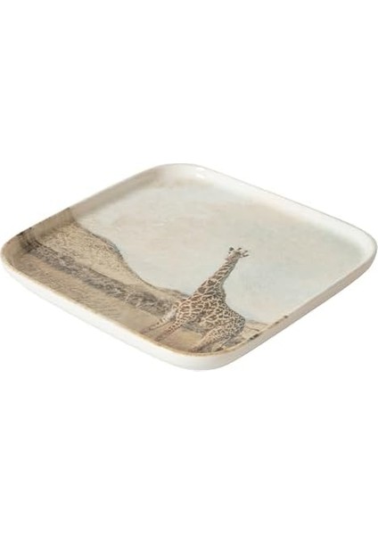 Concept Kare Tabak 22CM- modelleri