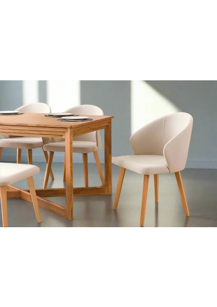 Ahşap Modern Rahat Yemek Sandalyesi fiyatları