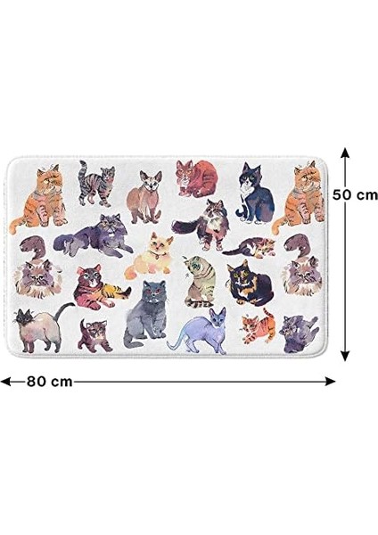 Sevimli Tasarımlı Mikrofiber Paspası, Kaymaz Taban, Yıkanabilir (380_BPSM, 2&apos;li Takım 40X60_50X80) modelleri